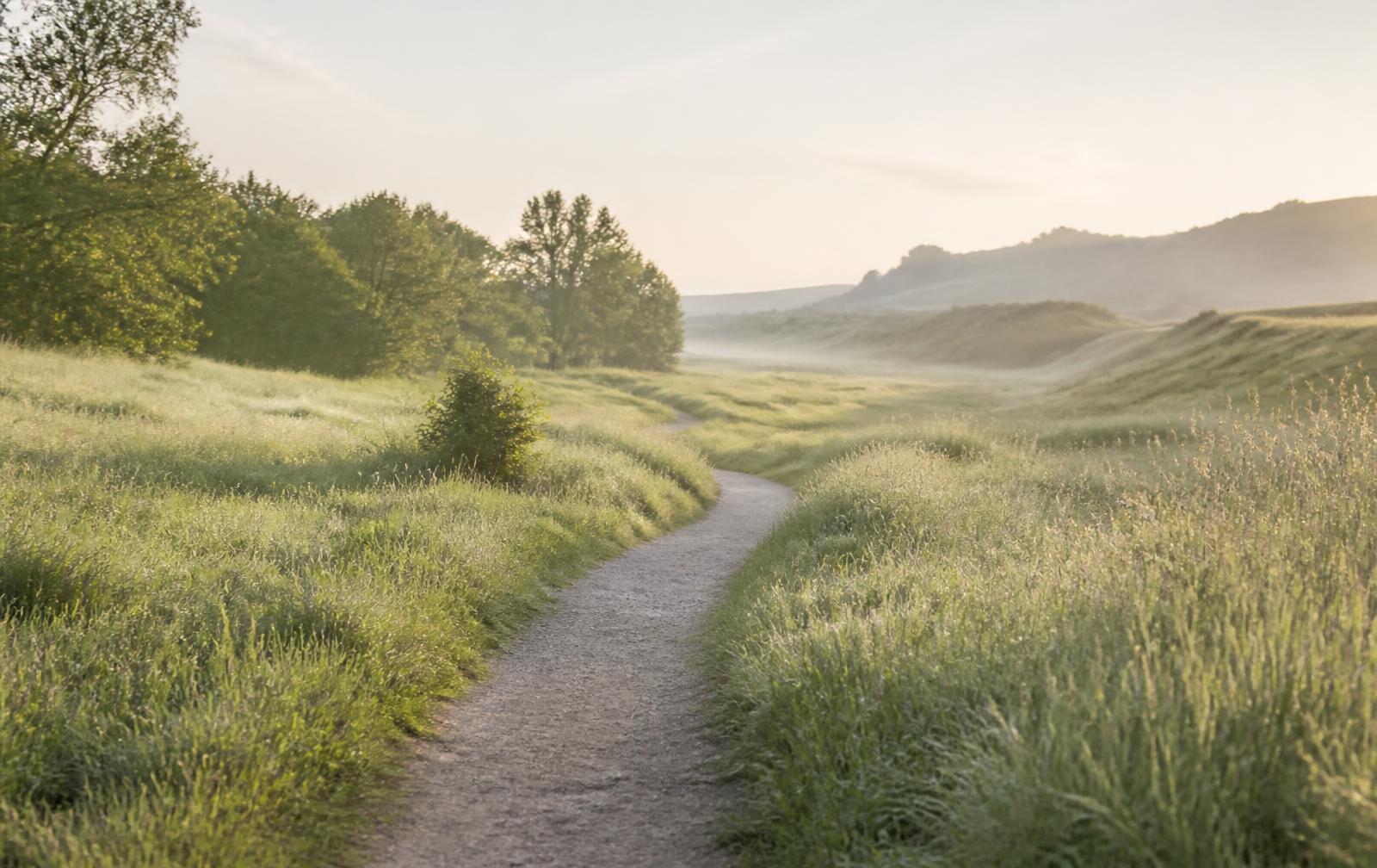 A quiet path through open grasses at sunrise